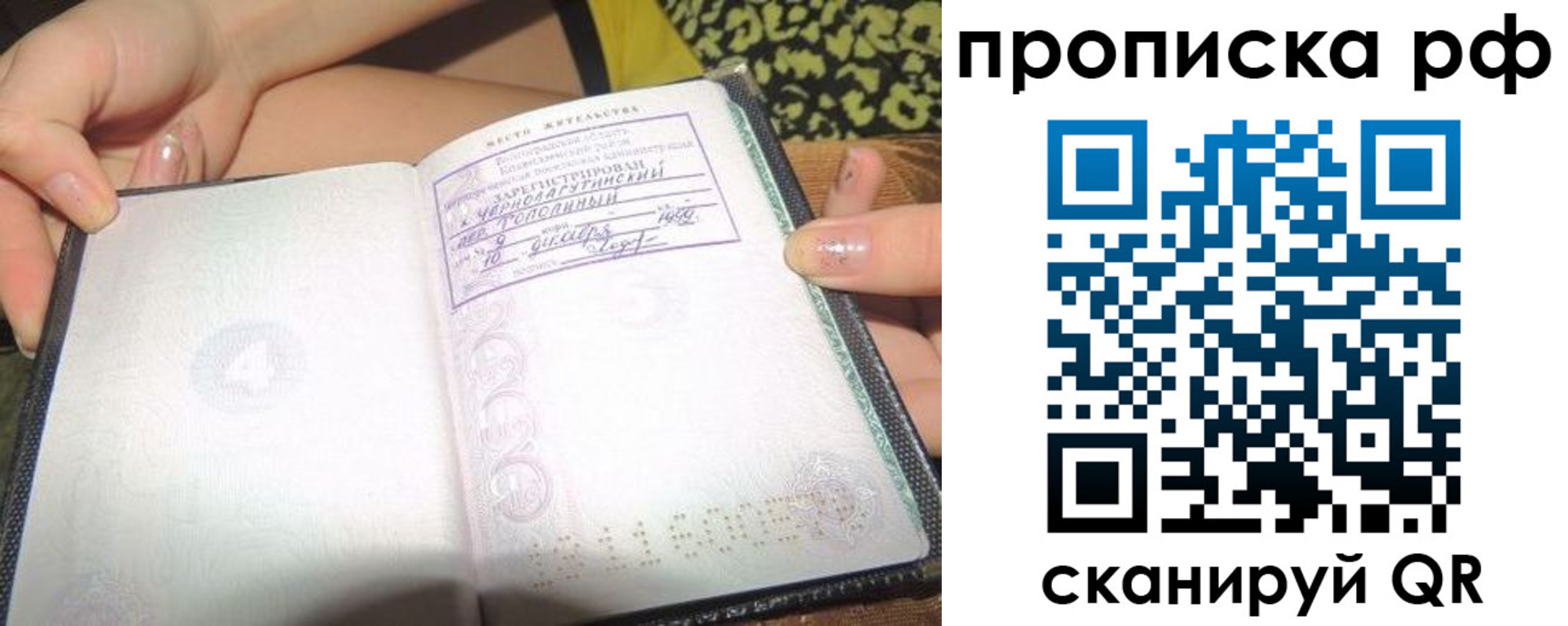 пропишу в квартире в Павловске